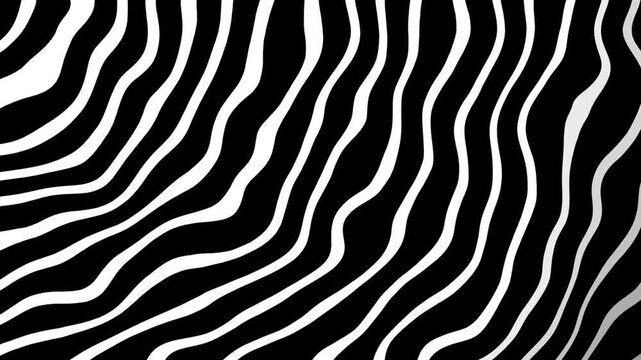 Zebra pattern animation shows a black and white striped pattern up close moving smoothly.