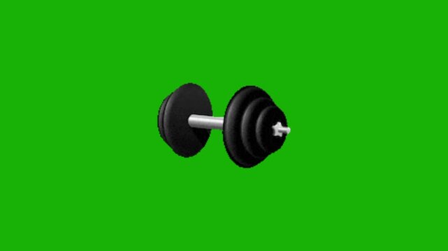 vector illustration of dumbbell