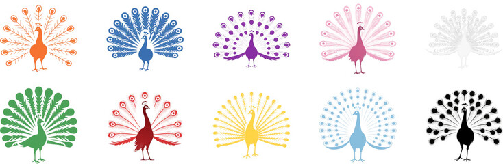 孔雀　鳥　動物　生き物　イラスト