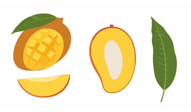 Cute cartoon mango flat vector illustration fruit character set