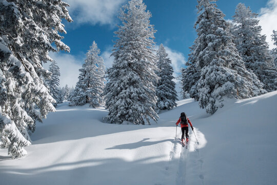 Senior man during ski tour, Inzell, Kienberg, Germany