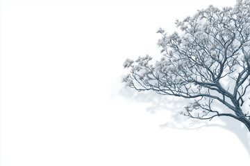 winter tree silhouette