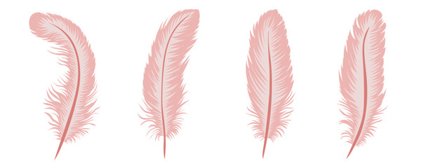 Coral feathers set. Collection of featuring different sizes and shapes for creative design. Exotic feather bird. Vector illustration © Logvin art