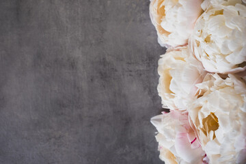Heap of beautiful fresh pastel colored peonies in full bloom on gray background, close-up, top down view. Copy space for text.