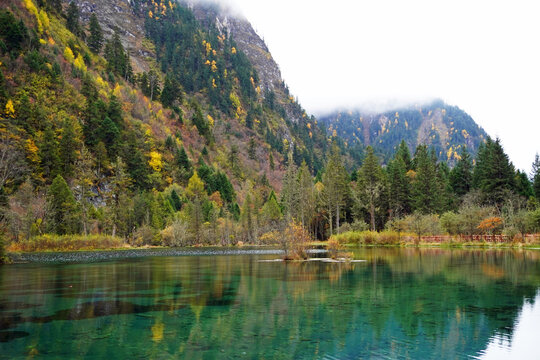 The magnificent autumnal landscape surrounding Longwang Lake in Bipenggou Park, Sichuan Province, China, is breathtaking in the early morning light