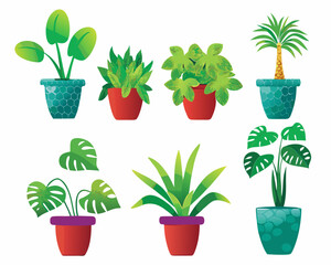 Colorful collection of potted tropical plants and greenery on white background © Rupa