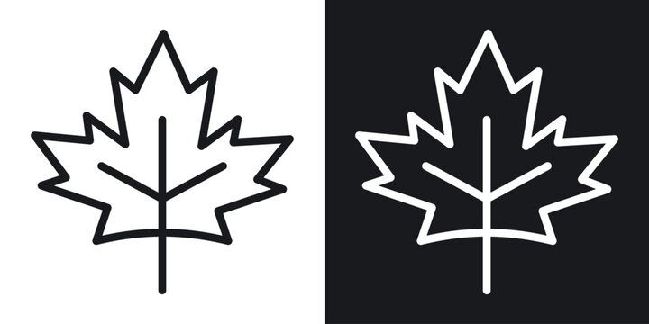 Autumn leaf canadian icon set in black and white stroke lines
