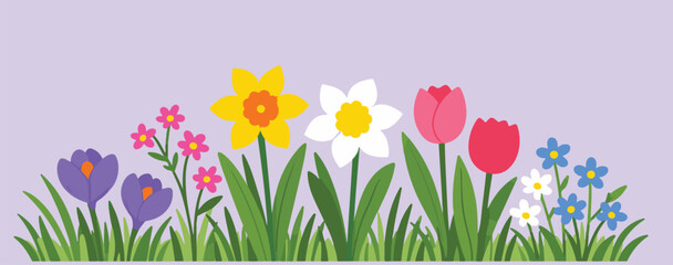 Flat design spring flowers border with colorful tulips, narcissus and crocuses on purple background