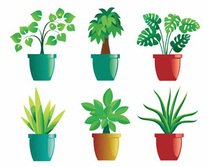 A collection of vibrant stylized tropical houseplants in colorful pots © Bablu