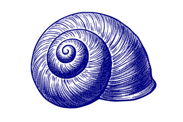 Fototapeta premium Snail Shell Vintage Semi-Sketch Halftone-Spiral Pattern Poster Art-Artistic Shell Black-White Single Illustration - Snail Shell