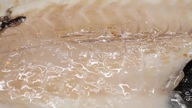 Preparing fresh fish fillet in a hot pan with oil to make a delicious meal, close-up of white fish fillet. High quality 4k footage