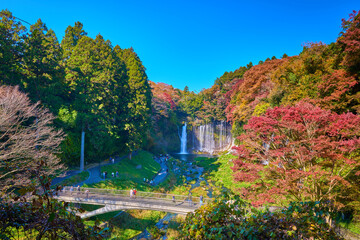 静岡県富士宮市の紅葉の白糸の滝と滝見橋