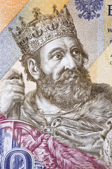 Boleslaw I the Brave a portrait from Polish money
