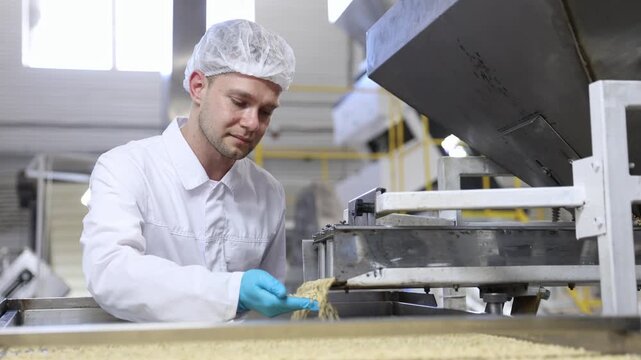Worker man control quality product snack on automatic conveyor belt for transporting cedar nuts. Concept modern food industry, factory production line.