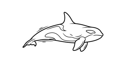 Obraz premium Orca Killer Whale Outline Drawing, Marine Mammal, Ocean Wildlife