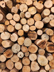 Fototapeta premium Stacked Wooden Logs Texture Background