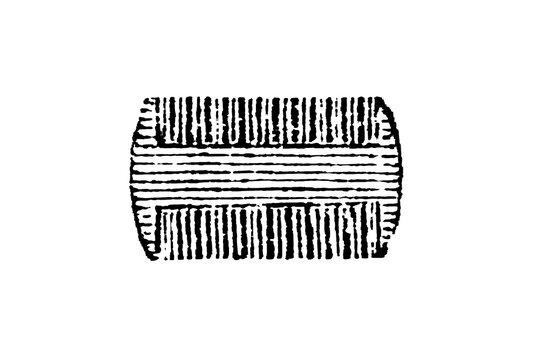 Double-sided comb, vintage hair tool with symmetrical design and varying teeth lengths on each side, detailed illustration, old vintage illustration, 1897.