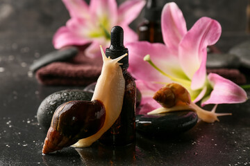 Giant Achatina snails, bottle of essential oil, spa accessories and lily flowers on dark background