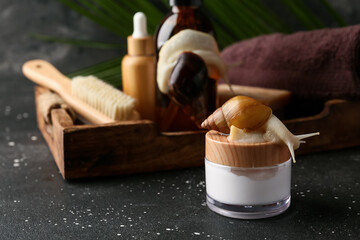 Jar of cream with giant Achatina snail and spa accessories on grunge table © Pixel-Shot