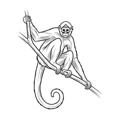 Fototapeta premium A stylized drawing of a monkey holding a staff or spear while perched on a curved branch isolated on white background