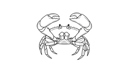 Fototapeta premium Black and White Crab Illustration - Vector Art