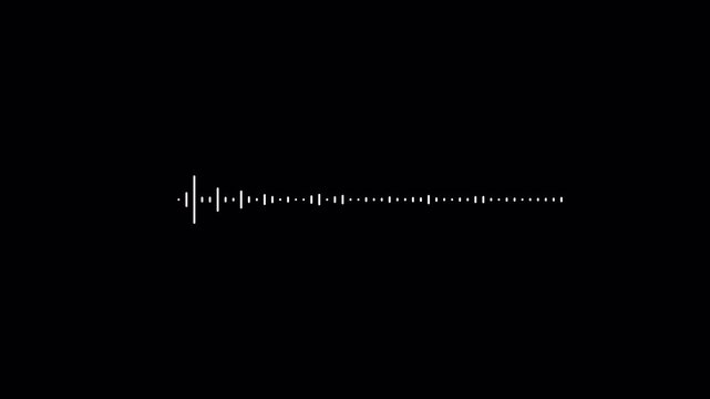 Animation white audio frequency waveform spectrum.