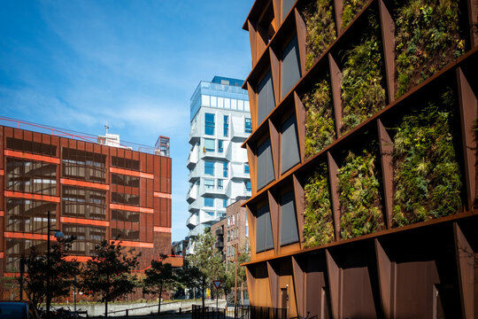 Street scene with modern architecture and building facade covered in greenery showing sustainable urban Copenhagen Denmark city design under clear blue sky
