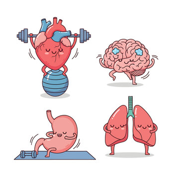 Body Wellness: An adorable ensemble of human organ in the form of a cartoon, promoting the well being of body