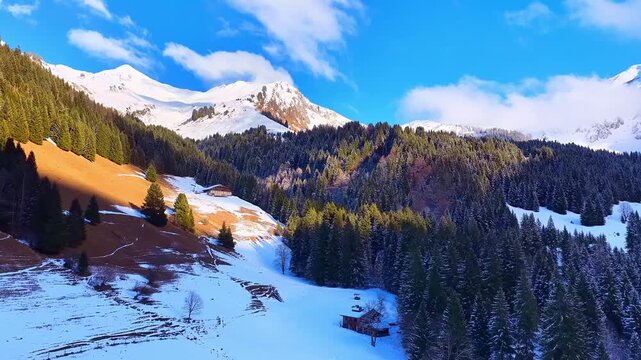 Aerial forward flight over alpine chalets and snowy forest in winter mountains
