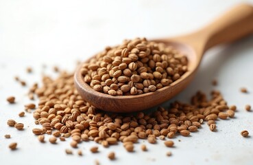Wooden spoon holds coriander seeds with some scattered on white table. Close-up macro view of small dried spice grains, natural ingredient for cooking. Ingredient for healthy food.