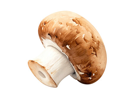 Mature brown mushroom with white stem, close-animated movie texture and cap details