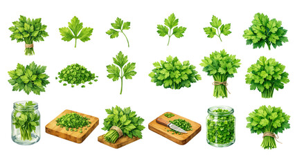 A charming watercolor collection of fresh parsley herbs, including leafy sprigs, tied bunches, chopped parsley piles, glass jars, and rustic wooden cutting boards. © liana