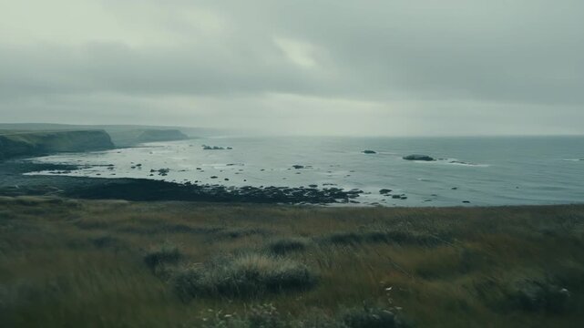 Rough coastal cliffs bordering the ocean during a hazy day, with sea stacks rising from the water and a foreground of wild grass and wildflowers creating a serene natural landscape