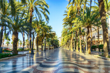 Palm avenue, Alicante, Spain © laraslk