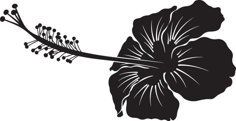 A black and white image of a hibiscus flower Vector, illustration