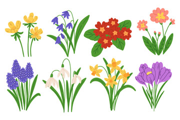 Spring flower collection in doodle style. Featuring primrose crocus daffodil snowdrop hyacinth and buttercup isolated on light background. 