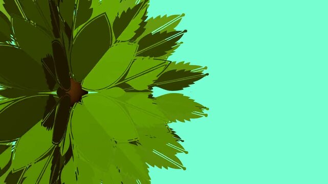 Flat design floral motion graphics loop for nature and eco-friendly concepts.
