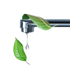 Faucet with water drop and green tree leaves close up isolated on a white background