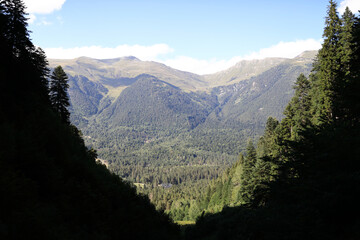 Vast mountain landscape with lush forest and blue sky