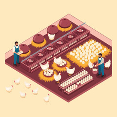 Farmers Collecting Eggs from Chicken Coop. © Anak