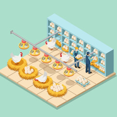 Chicken Farm with Multiple Chicken Coop. © Anak