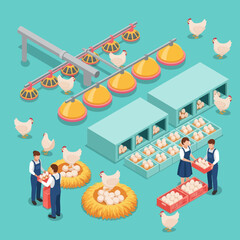Poultry Farm Workers Handling Chickens and Eggs. © Anak
