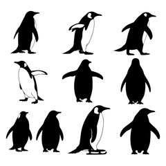 Obraz premium Various penguin species depicted in minimalist black and white vector outlines for creative design.