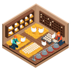 Farmers Collecting Eggs from Chicken Coop. © Anak