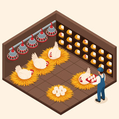 Farmer Collecting Eggs from Chicken Coop. © Anak