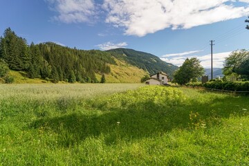Idyllic Countryside Residence Near Lush Meadow With Picturesque Mountain View - A Tranquil Summer Scene