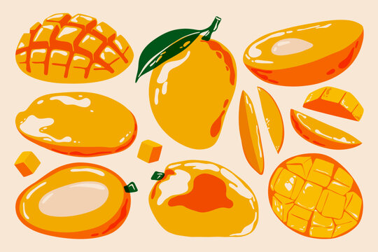 Abstract mango set. Ripe tropical fruits with leaf, decorative mango slices riso print effect, vintage fruit elements for natural organic product packaging design. Vector collection