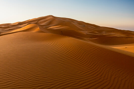 Rolling sand dunes under a clear sky, illuminated by warm light. Mezouga,Sahara desert,Morocco
