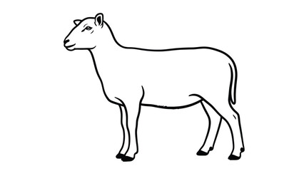Fototapeta premium Line drawing of a standing sheep, side view. The outline is simple, with minimal details, set against a white background, conveying calmness and simplicity.