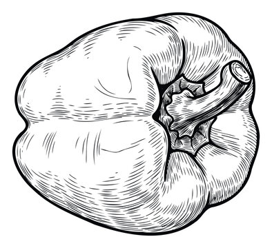 A vintage style black and white drawing depicting a wholesome bell pepper with its stem, ideal for food packaging, recipe books, restaurant menus, and healthy eating promotions.